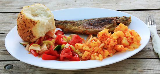 网页攻击器教程